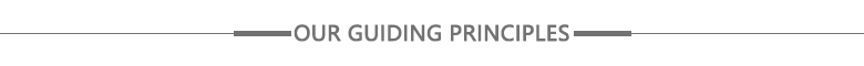 Our-Guiding-Principles.png