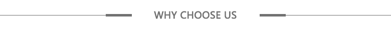 WHY CHOOSE <a href=https://www.groupeve.com target='_blank'>Groupeve</a>.png