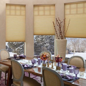 Professional China China Supply Honeycomb Blinds Fabric Cellular
