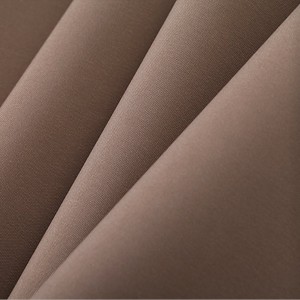 Factory Price China Fashion Roller Blind Fabric (HX SERIES)
