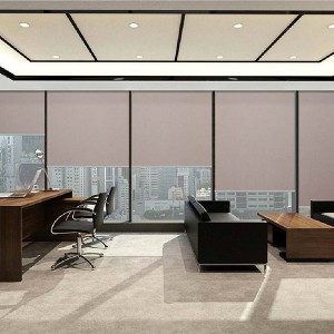 OEM/ODM China China 100%Polyester Dull High-Stretch Fabric with TPU for Down Coat wholesale outdoor fabric/Outdoor Coat Fabric