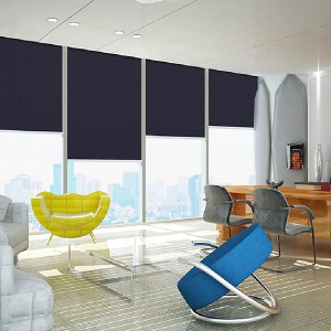 OEM Supply China Classic Zebra Blinds Dual Roller Shades Window Curtain Light Filtering Two Layers Fabric