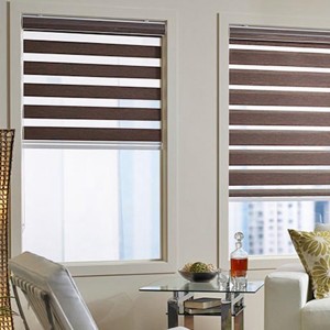 Day And Night Two Layers Sheer Shades Fabric For Home