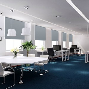 Leading Manufacturer for China Best Selling Product Zebra Fabric for Window Decoration Horizontal Curtain Zebra Blinds
