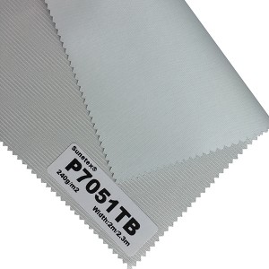 Wholesale Price China China Outdoor Roller Sun Shading Zebra Roller Blind Fabric