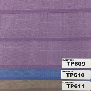 Modern Design Roller Blinds Shangri-la Zebra Fabric For Home