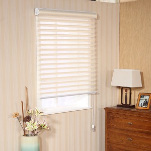 Modern Design Roller Blinds Shangri-la Zebra Fabric For Home