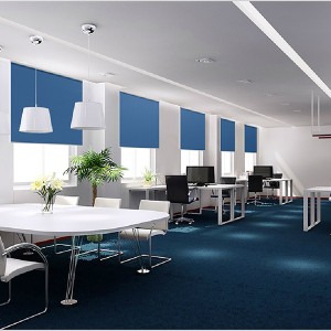 2021 wholesale price China Mainland Zebra Dual Day and Night Roller Blinds Fabric