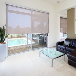 Special Price for China Window Decor Window Plain Zebra Roller Blind Fabric