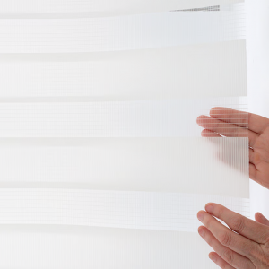 Coating Linen Double Layer Soft Fabric Free Flexure Textiles Polyester Zebra Blind Fabric