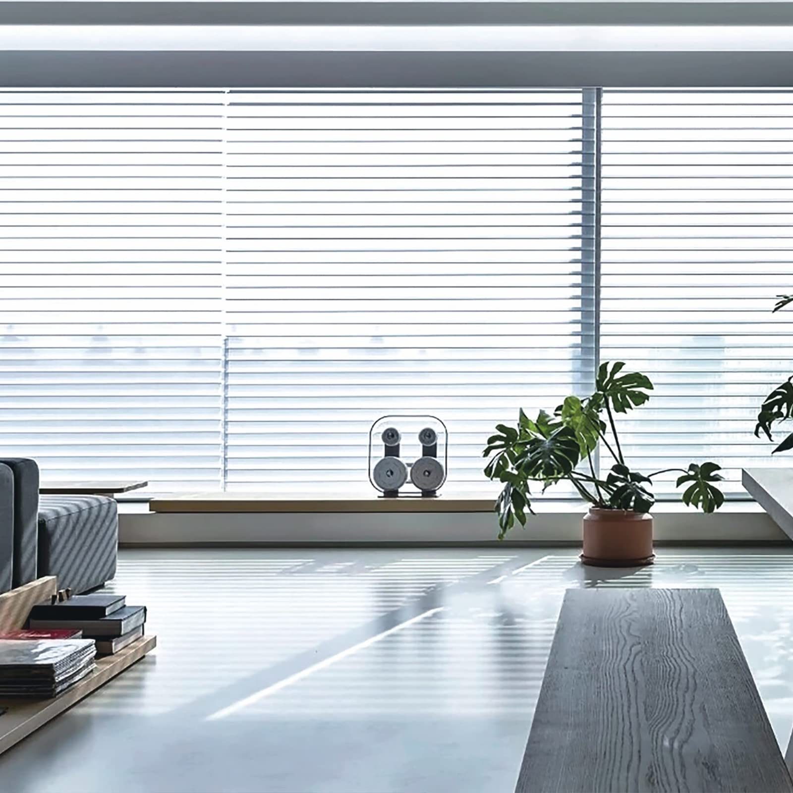ZEBRA-BLINDS