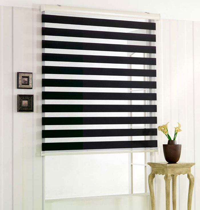Experience the elegance and versatility of zebra blinds
