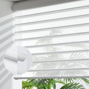 Smart Motor Perfect Fit For New Style Zebra Rollers Blinds Fabric Sample Books Automatic For Blackout Window Blinds Shades