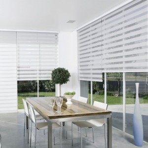 Outdoor Zebra Roller Motorized Blinds Sun Shades Shutters For Window