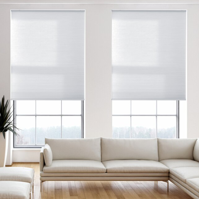 How to choose an organ curtain?