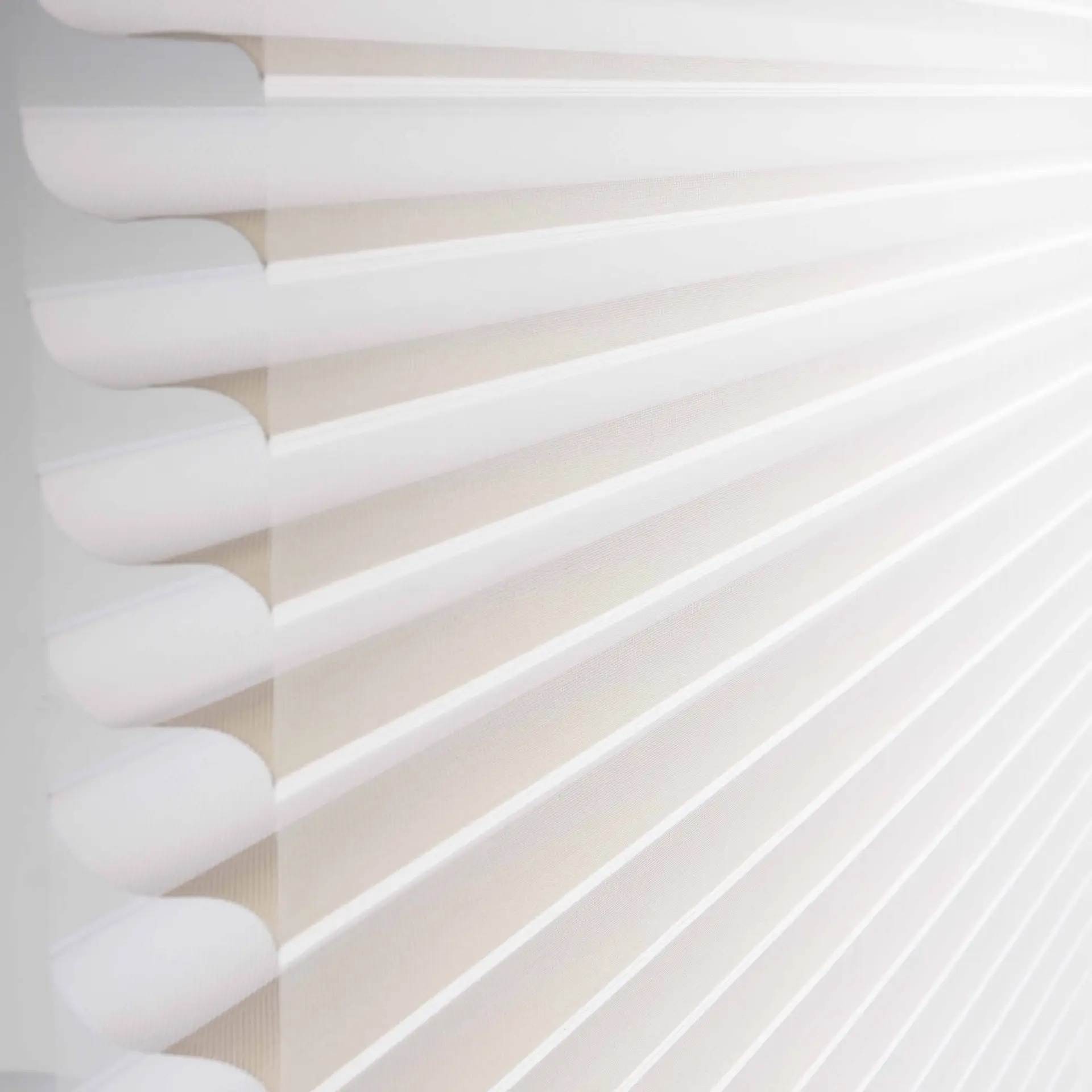 Premium Motorized Roller Shutter Shangri-La Blinds with Remote Control