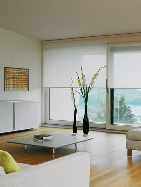 Window & Door Screens