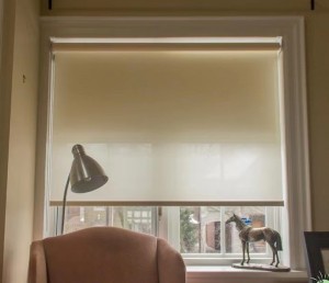 24 Hour Modern Motorized Interior Indoor Decorative Drop Material Blinds For Us Shade Windows Coverings Shades