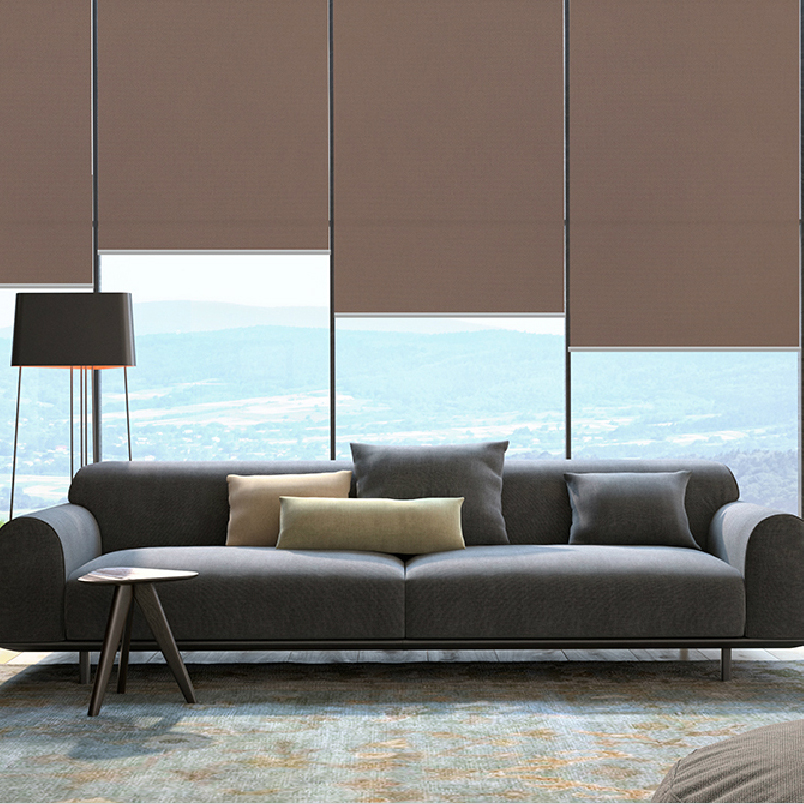 A Perfect Blend of Aesthetic Appeal and Light Control Takes Window Treatments to New Heights
